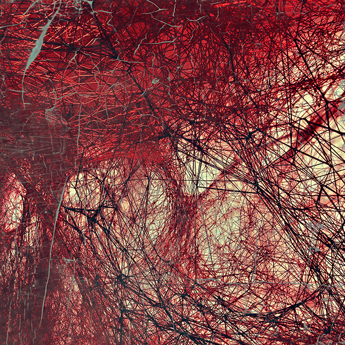 imagen 27. lola gonzalez